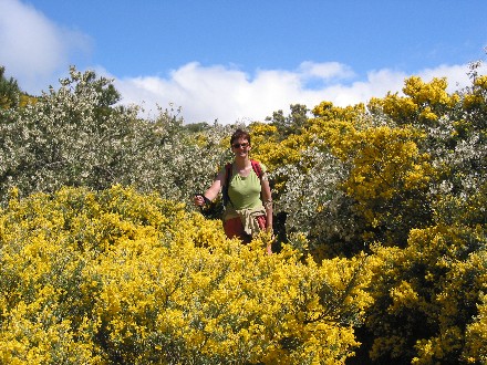 Wandern durch ein Blütenmeer