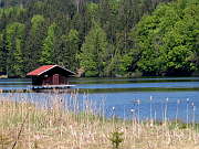 Hackensee