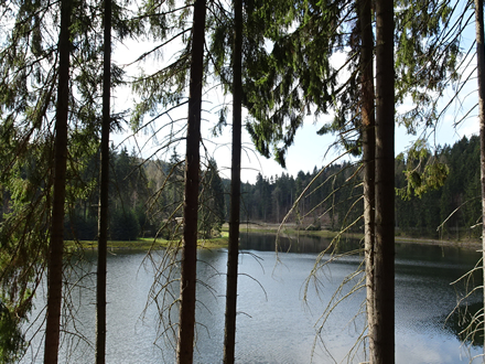 Stausee Neunzehnhain 1