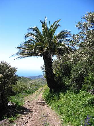 Rückweg Richtung Los Manantiales