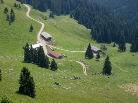 Neuhüttenalm