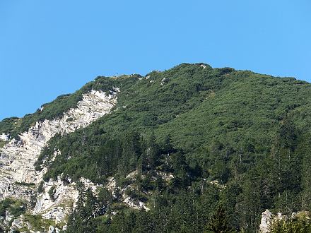 Blick hinauf zur Brecherspitz