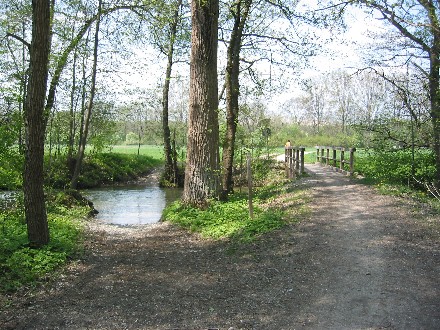 Garchinger Mühlbach am Rand der Isarauen