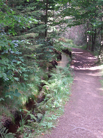 Wanderweg neben dem „Grünen Graben“