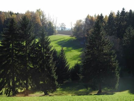 Weg nach Himmelreich