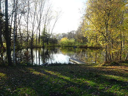 Teichanlage kurz vor Großrückerswalde
