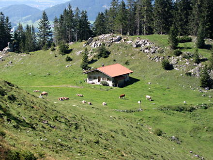 Ebersberger Alm