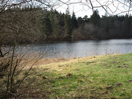 Am Koglweiher