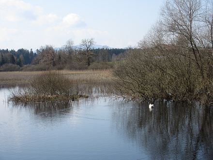 Am Neuweiher bei Reutberg