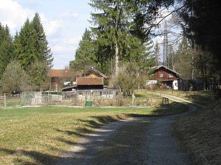 Beim Weiler Kirchseemoor