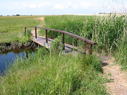 Zwischen Thiessower Hafen und Kleinzicker