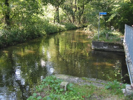 Ausleitung des Schwebelbachs (nach rechts) aus dem Würmkanal