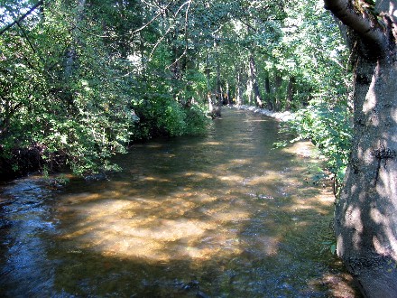 Die Würm in Pasing