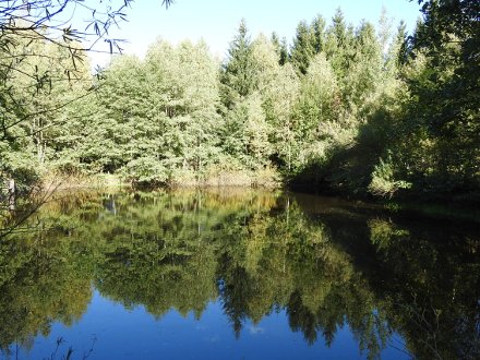 Mothäuser Teich