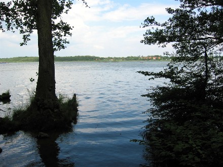 Ostseite des Schmachter Sees