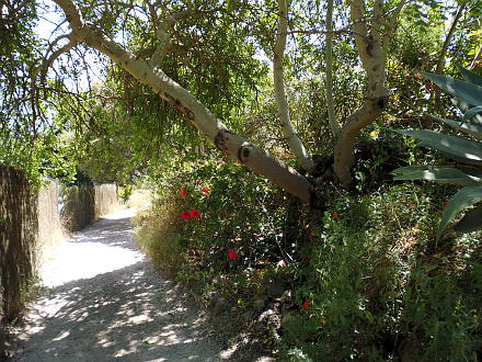 Rückweg nach Port de Sóller