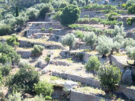 Terrassenanlagen bei Sa Figuera